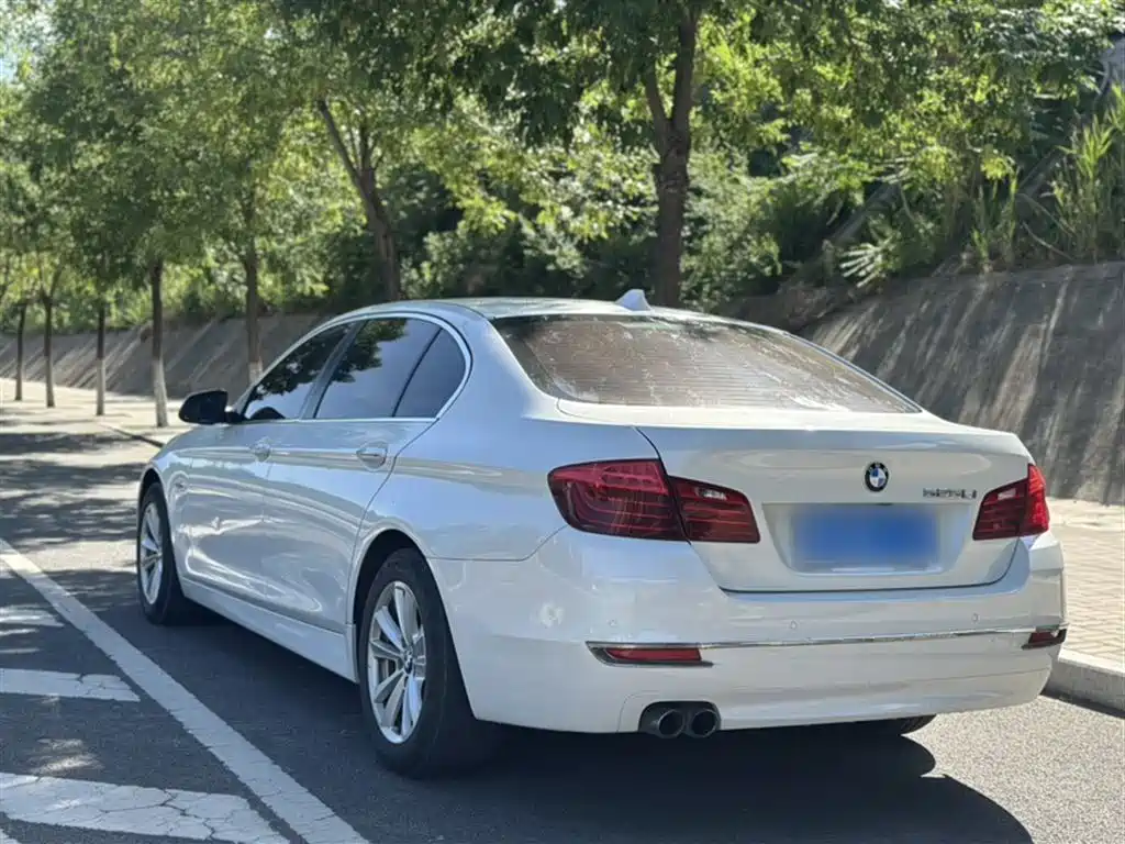 BMW 5 Series 2014 520Li Elegance фото 23