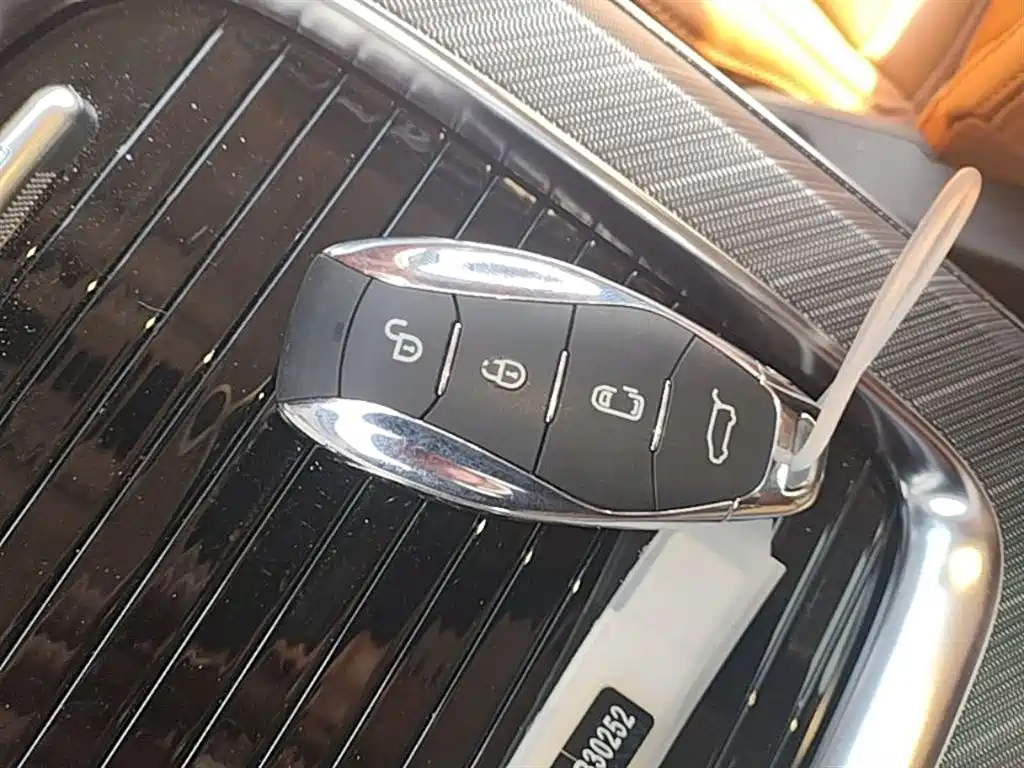 Hongqi HQ9 PHEV 2024 Model 2.0T AWD Business Edition фото 9
