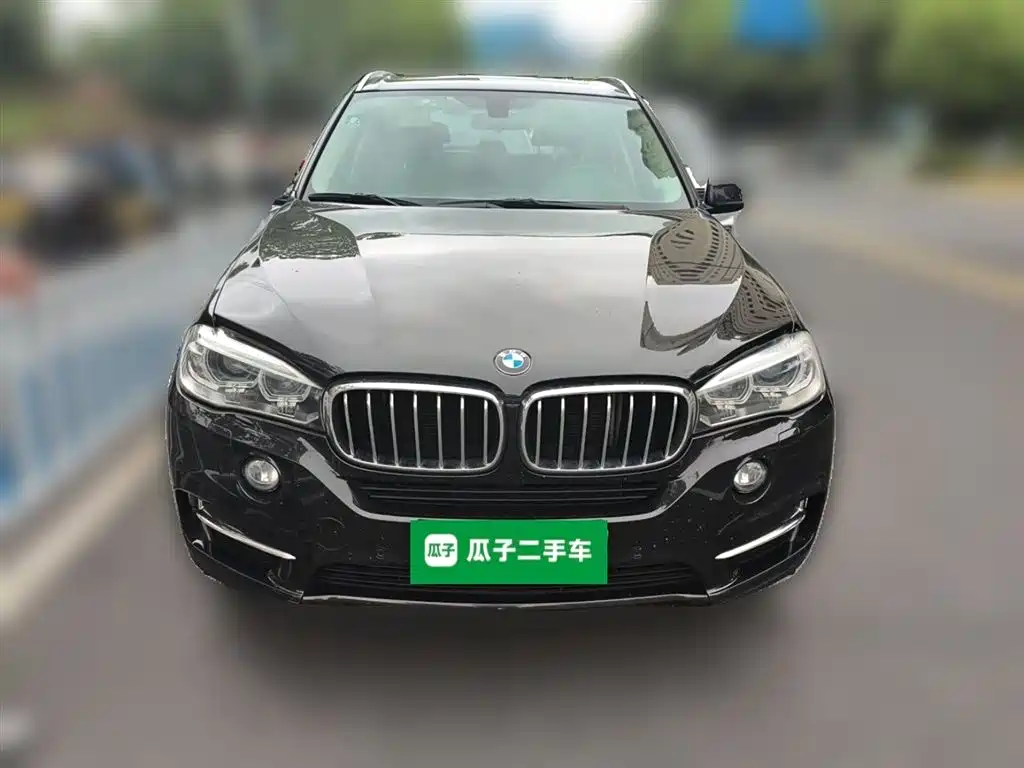 BMW X5 (Import) 2017 xDrive35i Elegance фото 24