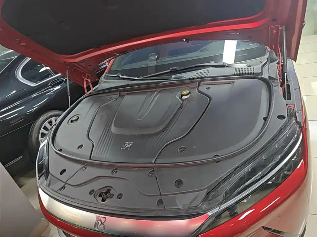 BYD Han 2020 EV AWD High-Performance Flagship фото 20