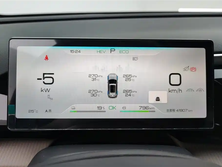 BYD Song Pro New Energy 2024 Glory Edition DM-i 110KM Excellence фото 14