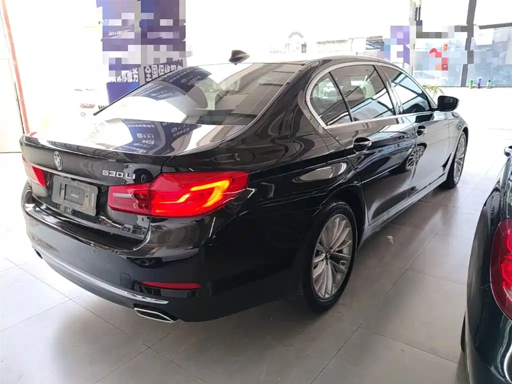BMW 5 Series 2020 530Li Leading Luxury Package фото 7