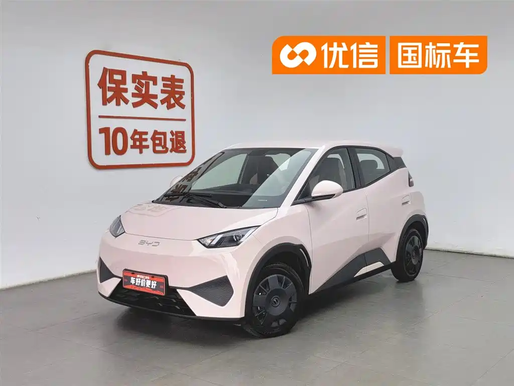 BYD Seagull 2025 Smart Drive Edition 305km Vitality Version