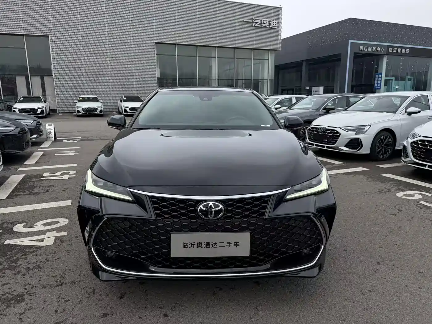 TOYOTA ASIAN DRAGON