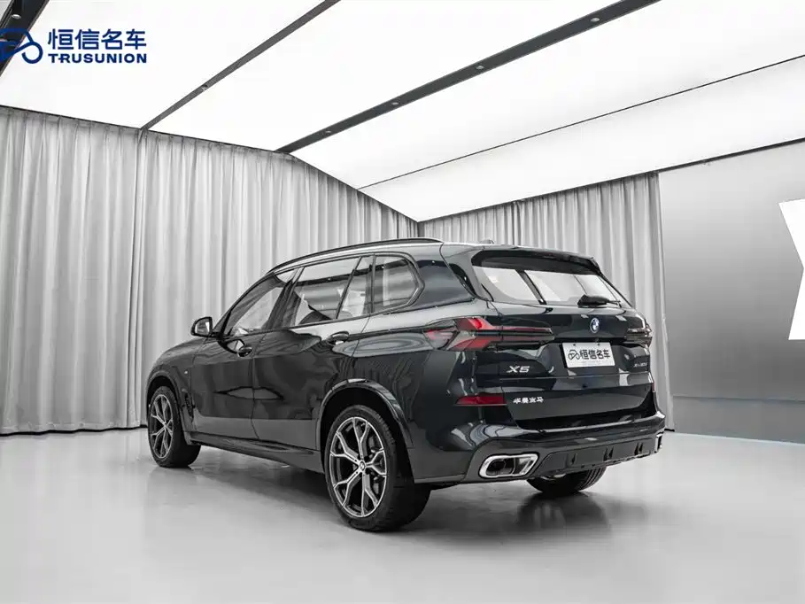 BMW X5 2023 xDrive 30Li Premium M Sport Black Night Package фото 11