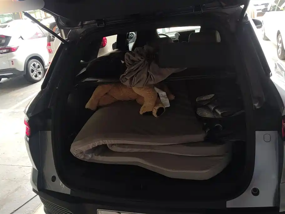 BYD Song Pro New Energy 2024 Glory Edition DM-i 71KM Pilot фото 4