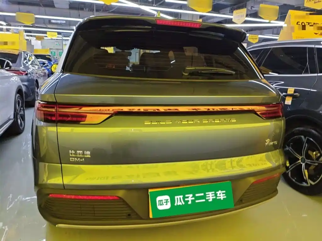 BYD Song Pro New Energy 2024 Glory Edition DM-i 71KM Pilot фото 4