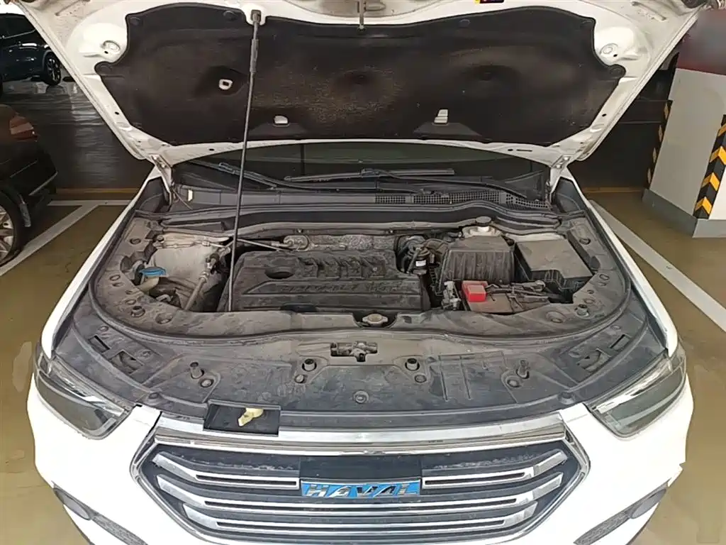 Haval H6 2018 Blue Label Sport 1.5T Automatic 2WD Elite фото 20