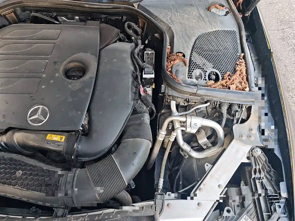 Mercedes-Benz E-Class 2021 E 300 L Luxury фото 22
