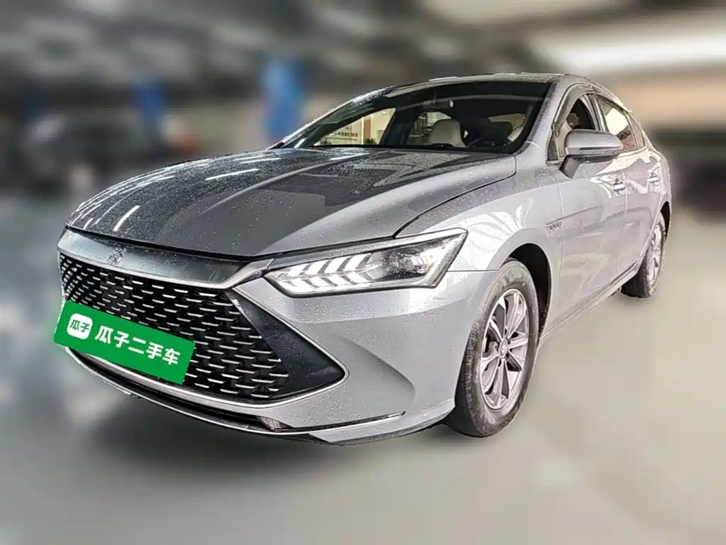 BYD Qin PLUS 2024 Glory Edition DM-i 55KM Leading