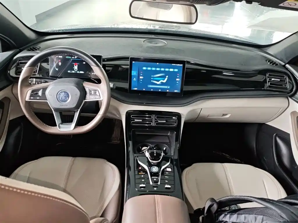 BYD Qin PLUS 2024 Glory Edition DM-i 55KM Leading фото 16