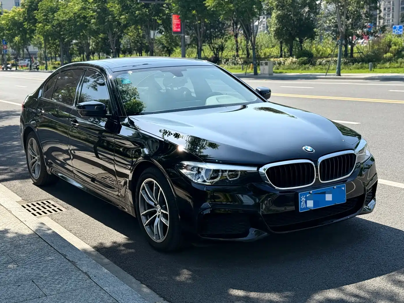 BMW 5 Series 2019 Facelift 525Li M Sport Package фото 3