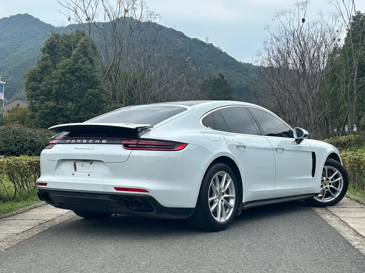 Porsche Panamera 2019 Panamera 2.9T фото 6