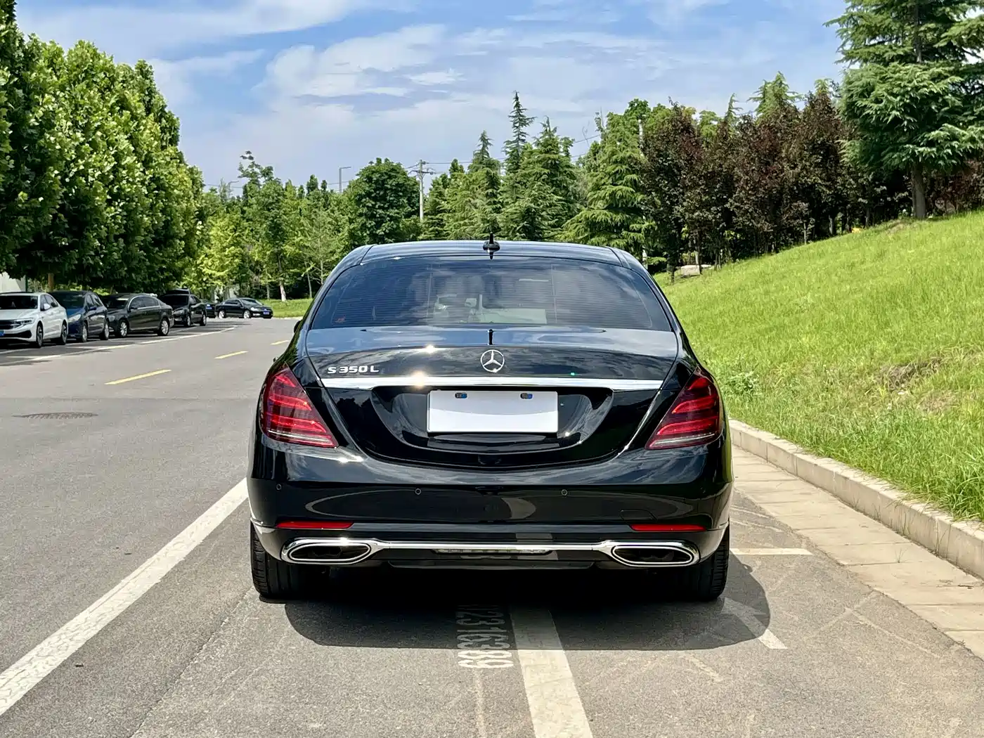Mercedes-Benz S-Class 2020 S 350 L Business Edition Collector's Version фото 21