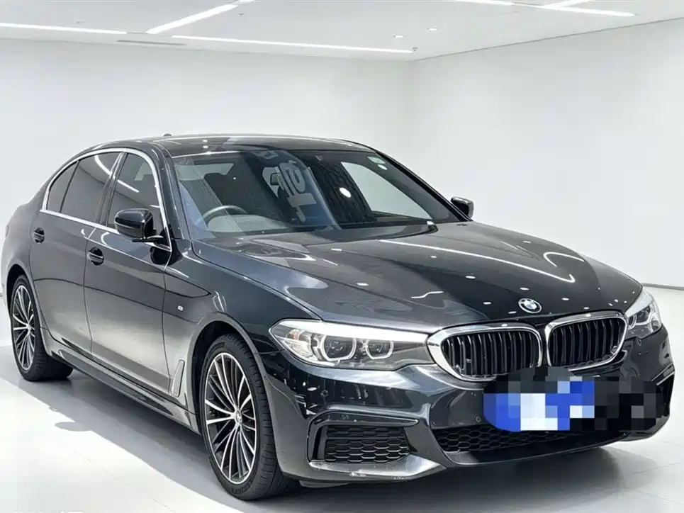 BMW 5 Series 2019 530Li Leading M Sport Package фото 3