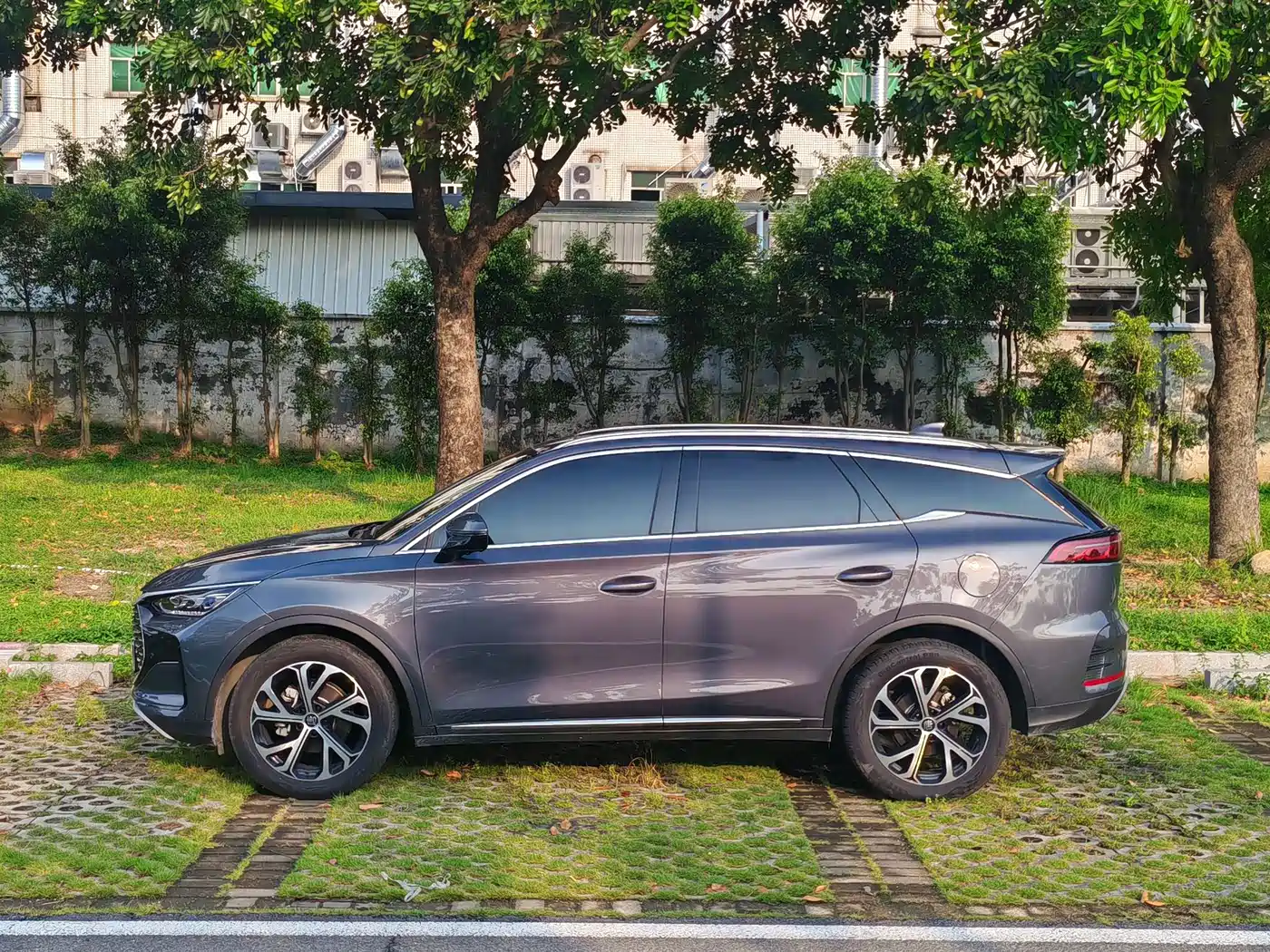 BYD Tang New Energy 2025 DM-i 115KM Prestige Type фото 8