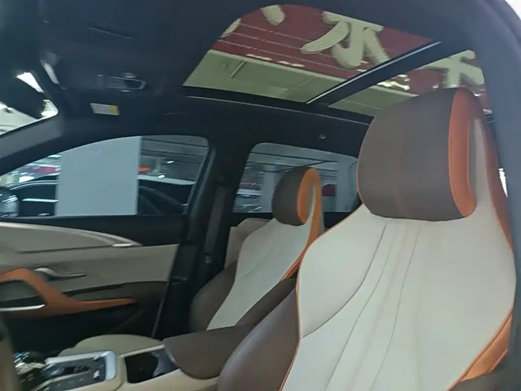 BYD Song Pro New Energy 2022 DM-i 51km Premium фото 18