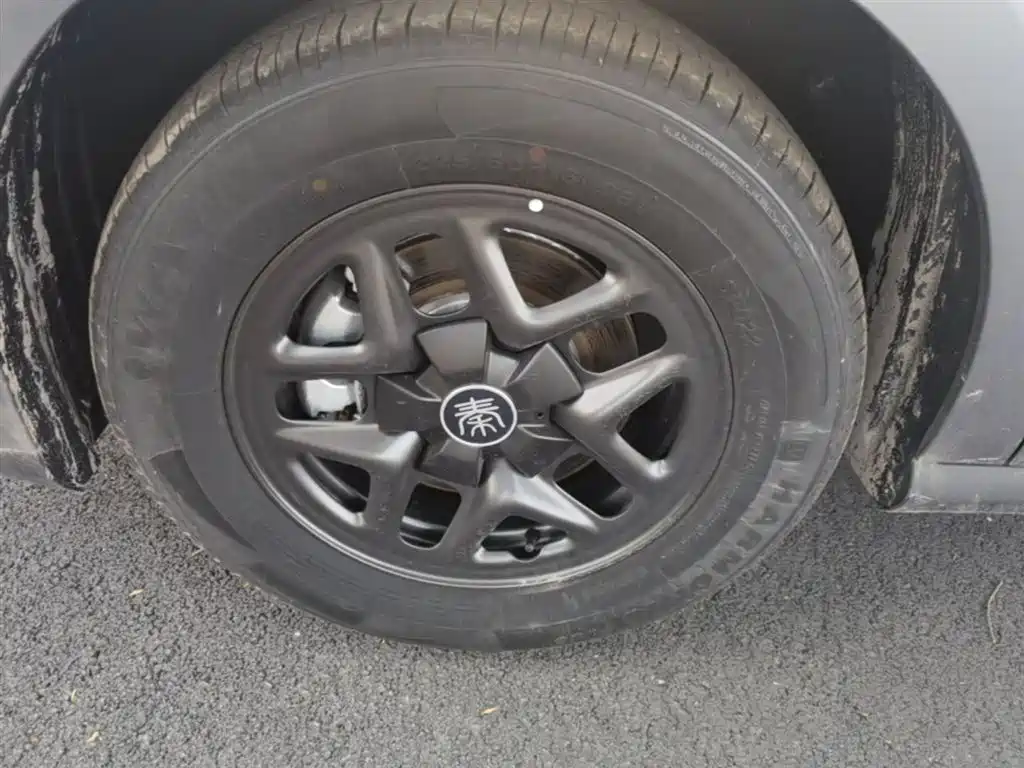 BYD Qin PLUS 2026 DM-i Smart Edition 128KM Progressive фото 23