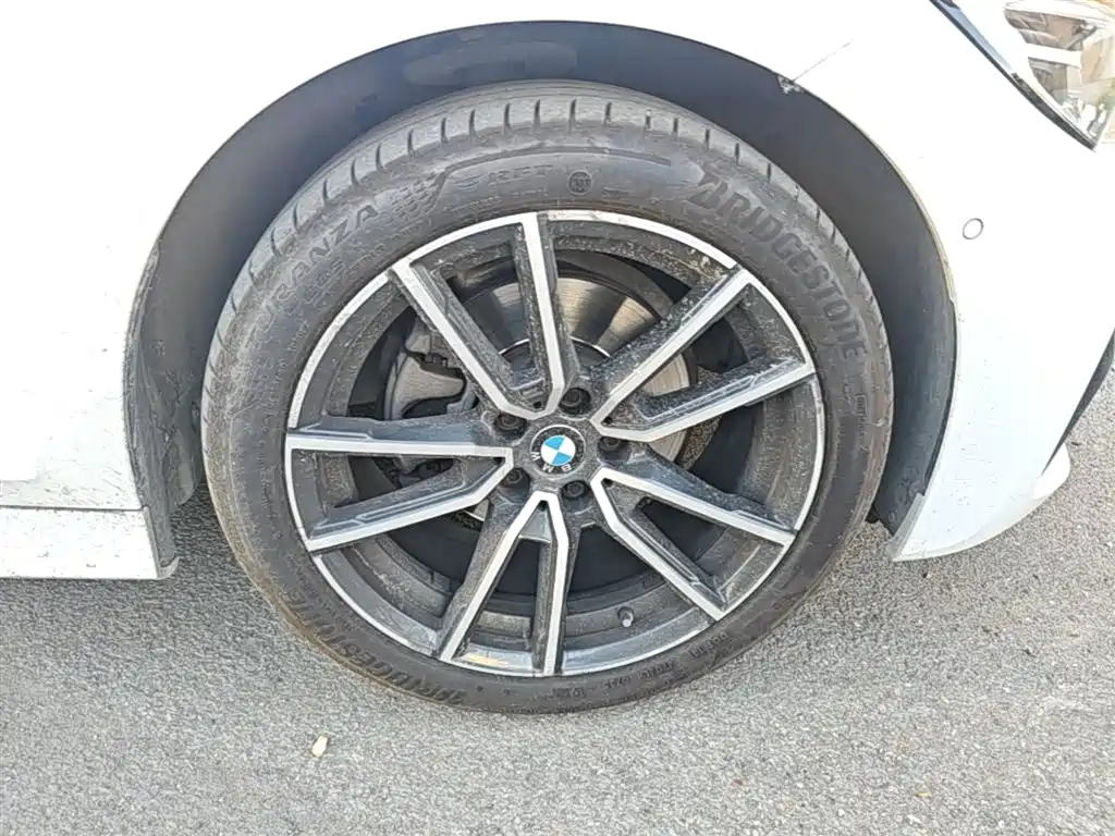 BMW 3 Series 2020 325Li xDrive M Sport Package фото 14