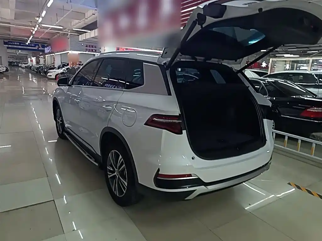 BYD Song Pro New Energy 2022 DM-i 51km Premium фото 5