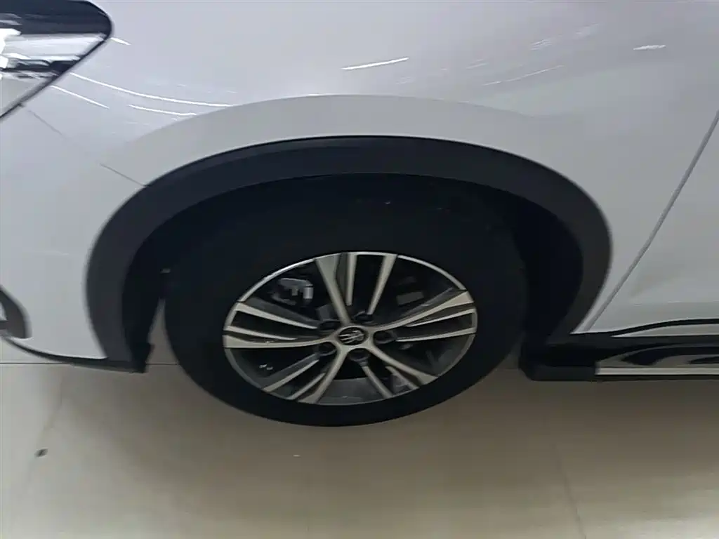 BYD Song Pro New Energy 2022 DM-i 51km Premium фото 23