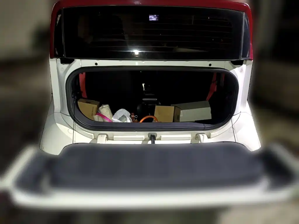 Baojun E200 2020 2019 250KM Smart Enjoy Edition