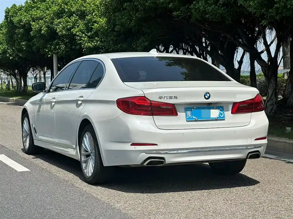 BMW 5 Series 2020 525Li Luxury Package фото 7
