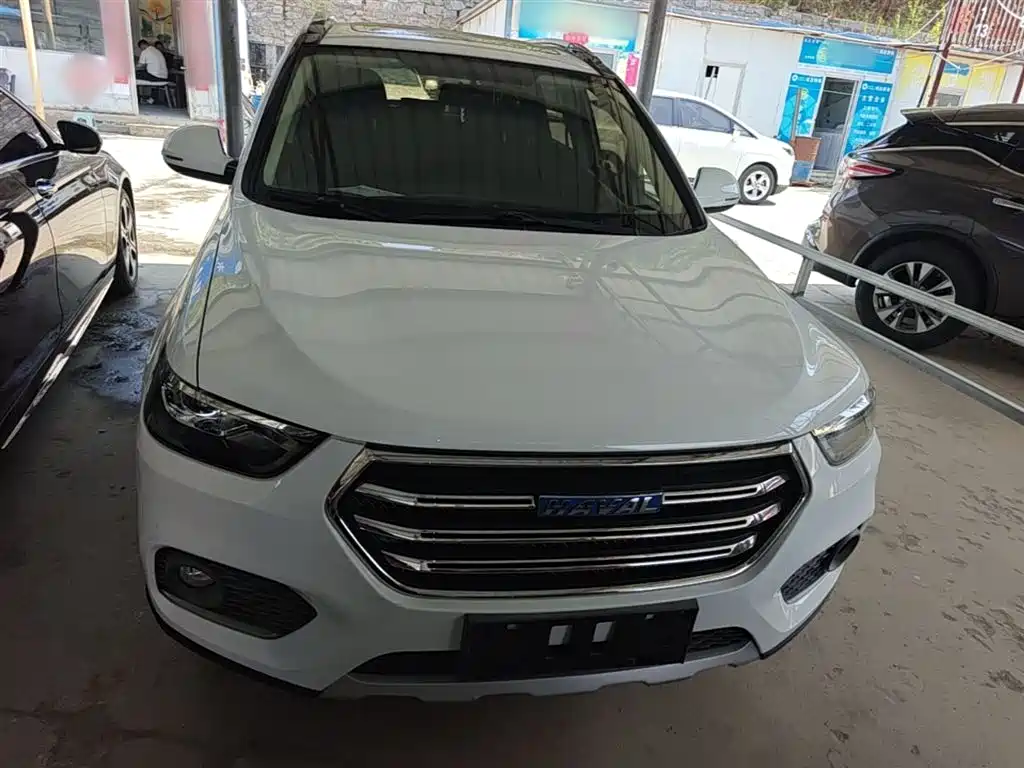 Haval H6 2018 Blue Label Sport 1.5T Automatic 2WD Elite фото 3
