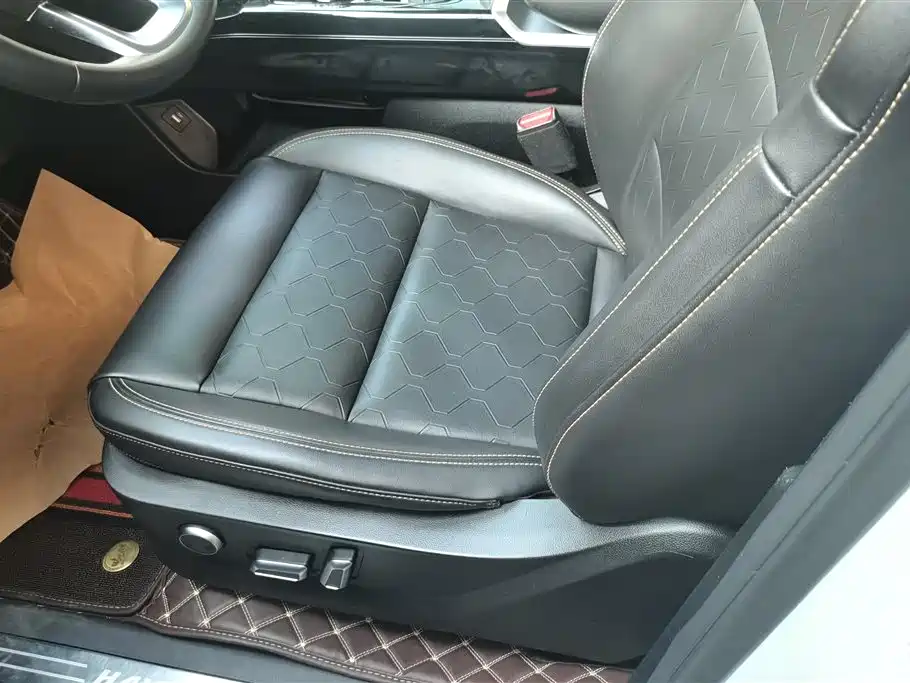 Haval Big Dog 2021 1.5T DCT 2WD Border Collie Edition фото 9