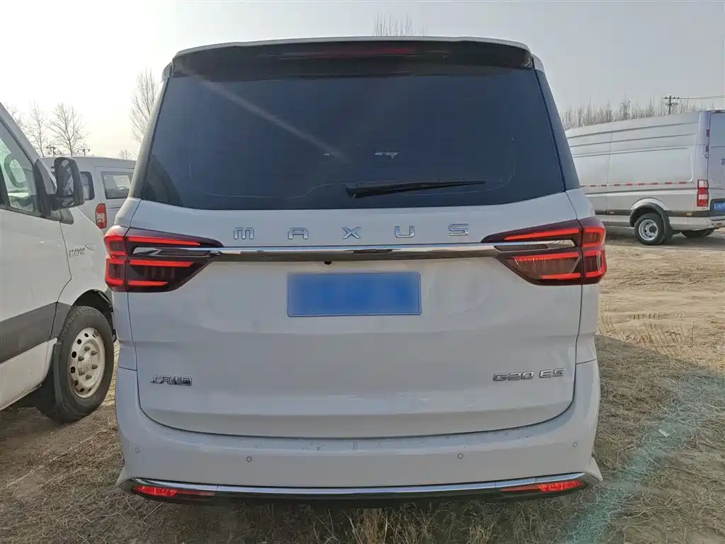 CHASE G20