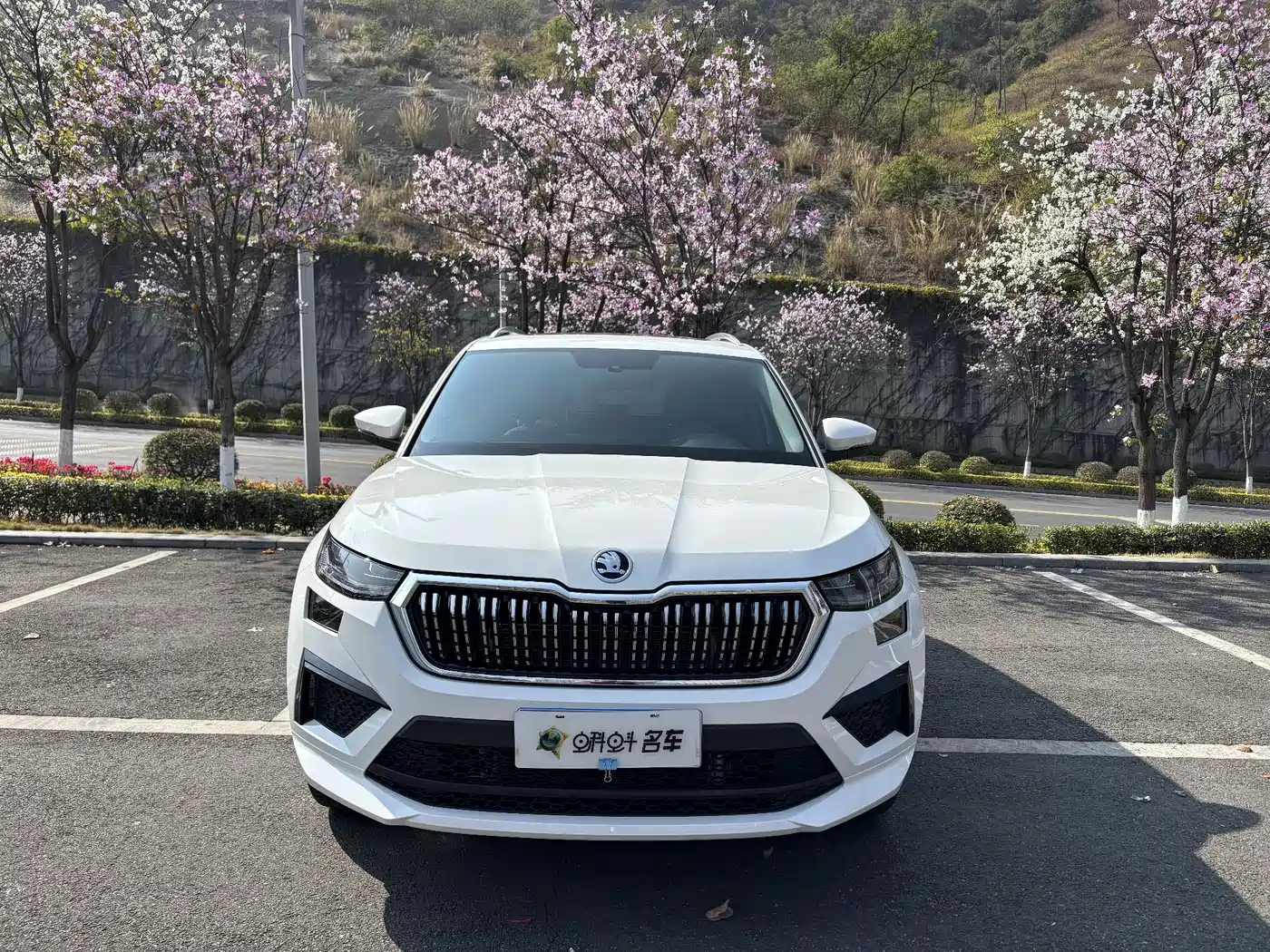 Škoda Kodiaq 2025 TSI330 5-Seater FWD Capability Edition фото 2