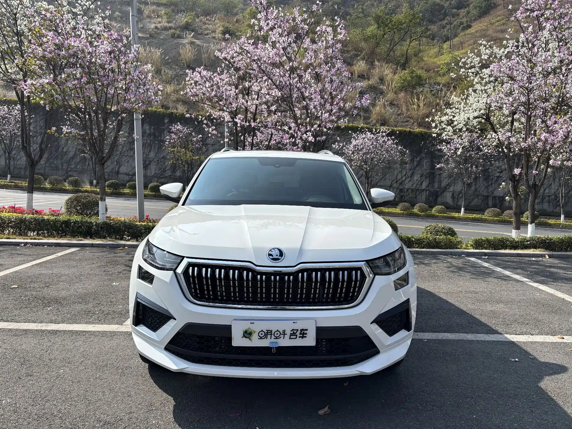 Фото 2 - Škoda Kodiaq