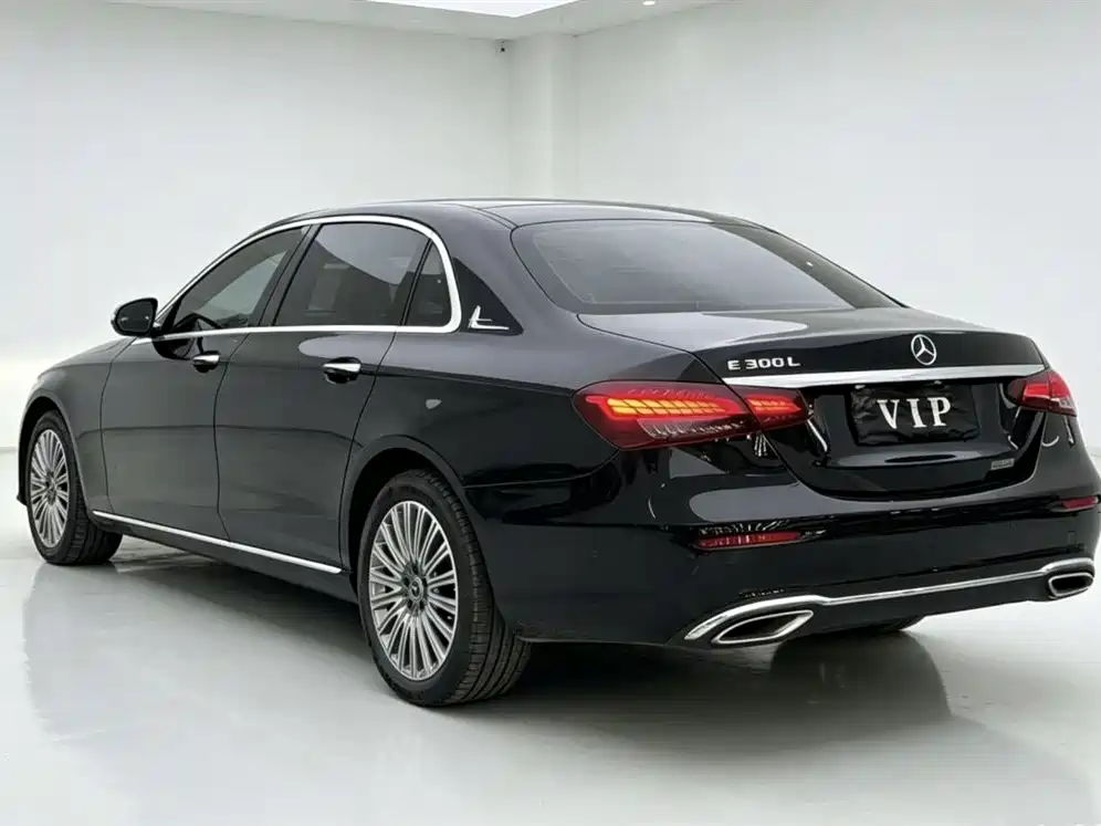 Mercedes-Benz E-Class 2023 E 300 L Luxury фото 9