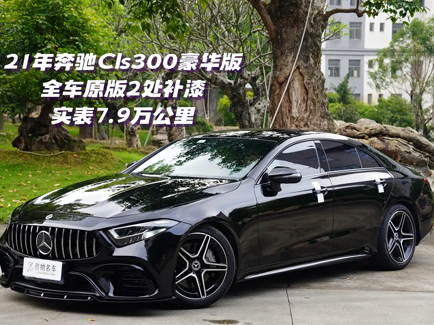 Mercedes-Benz CLS 2021 CLS 300 Luxury