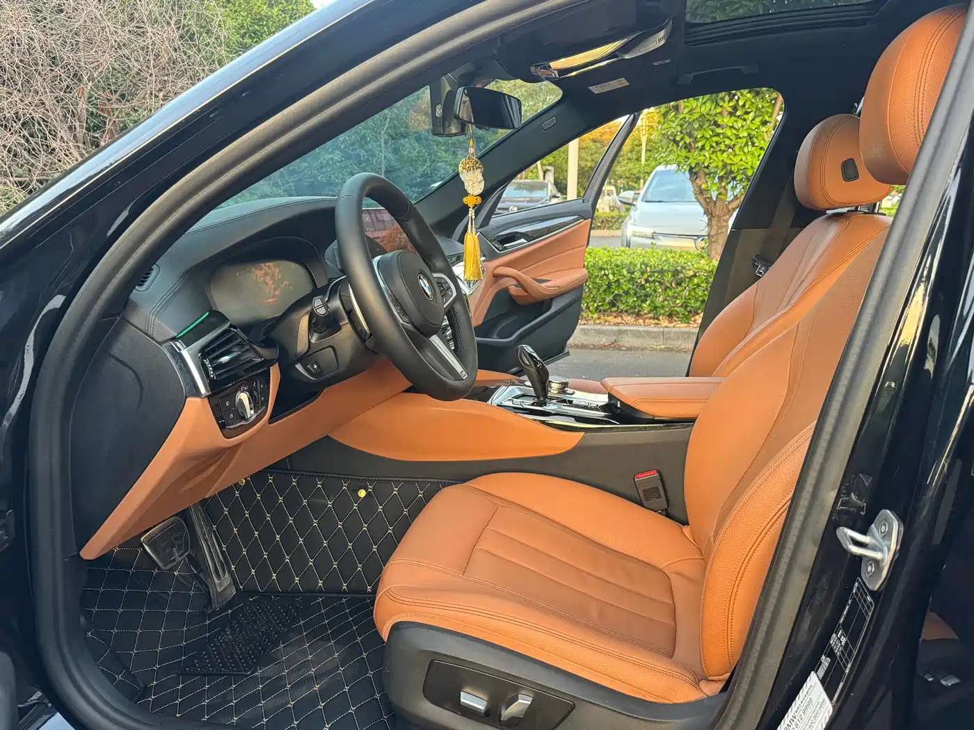 BMW 5 Series 2019 530Li Premium M Sport Package фото 8