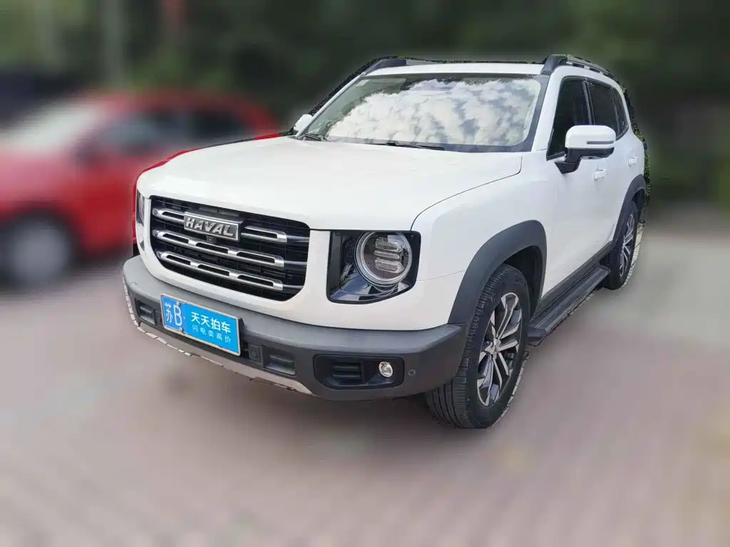 Haval Dargo 2021 2021 1.5T DCT 2WD Border Collie - Wangcai Edition