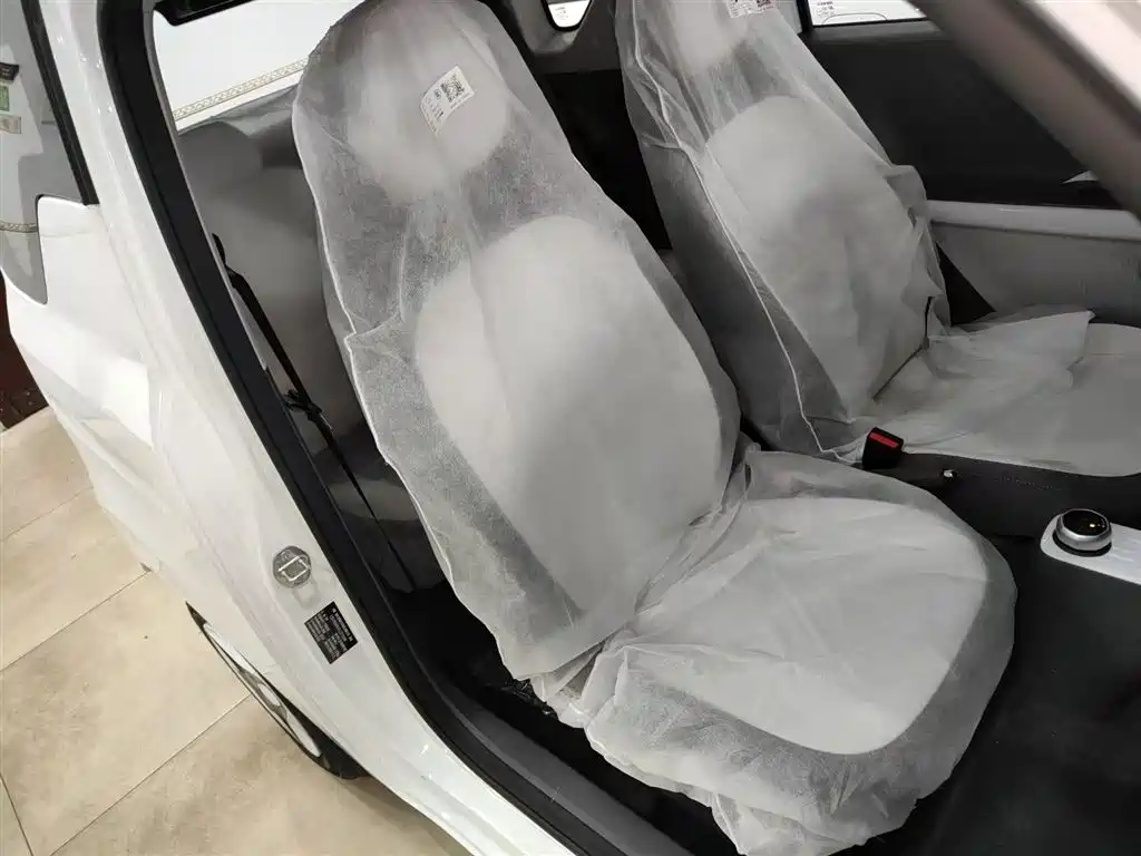 Geely Galaxy Panda 2025 Panda mini 210km Vitality Bear фото 20