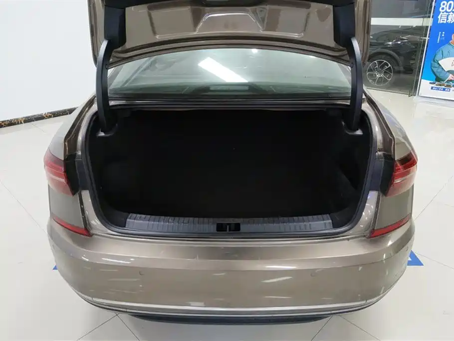 Volkswagen Passat 2020 330TSI Elite Edition China VI фото 4