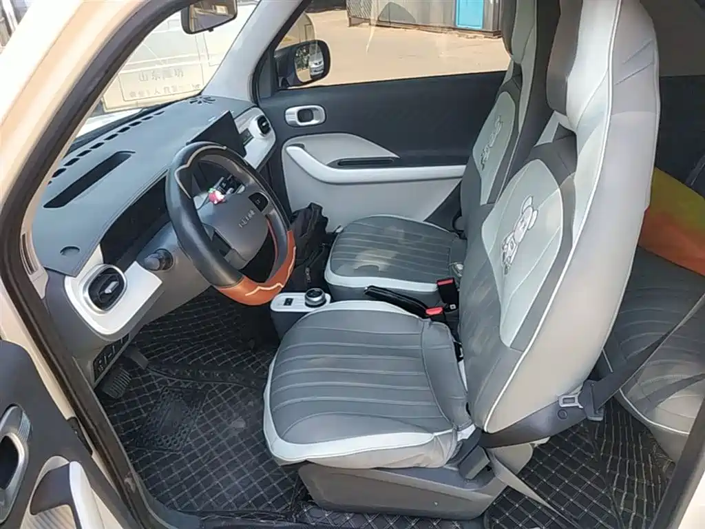 Geely Galaxy Panda 2025 Panda mini 210km Vitality Bear фото 15