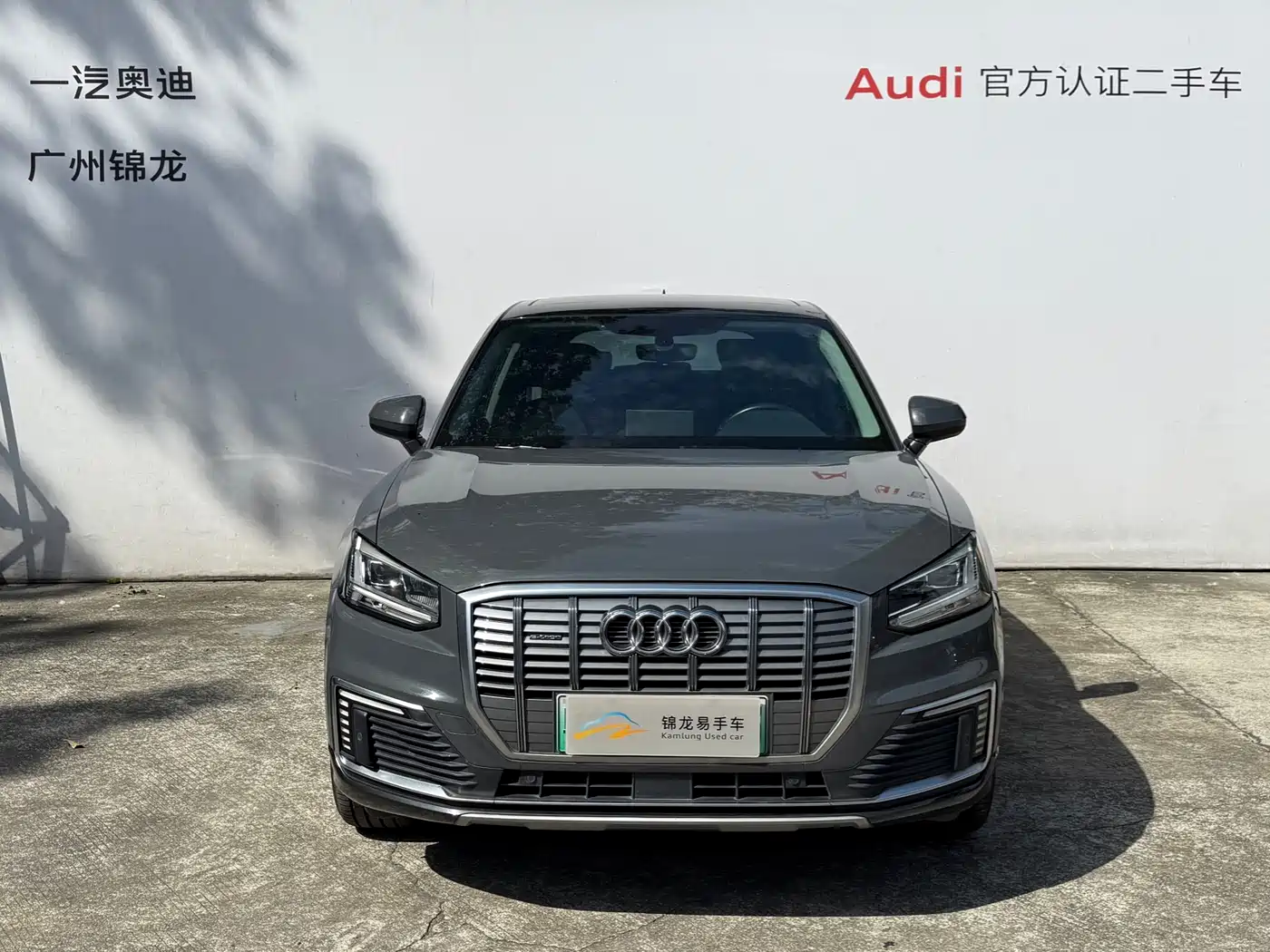 Audi Q2L e-tron 2019 Q2L e-tron Pure Electric Smart Enjoyment фото 2