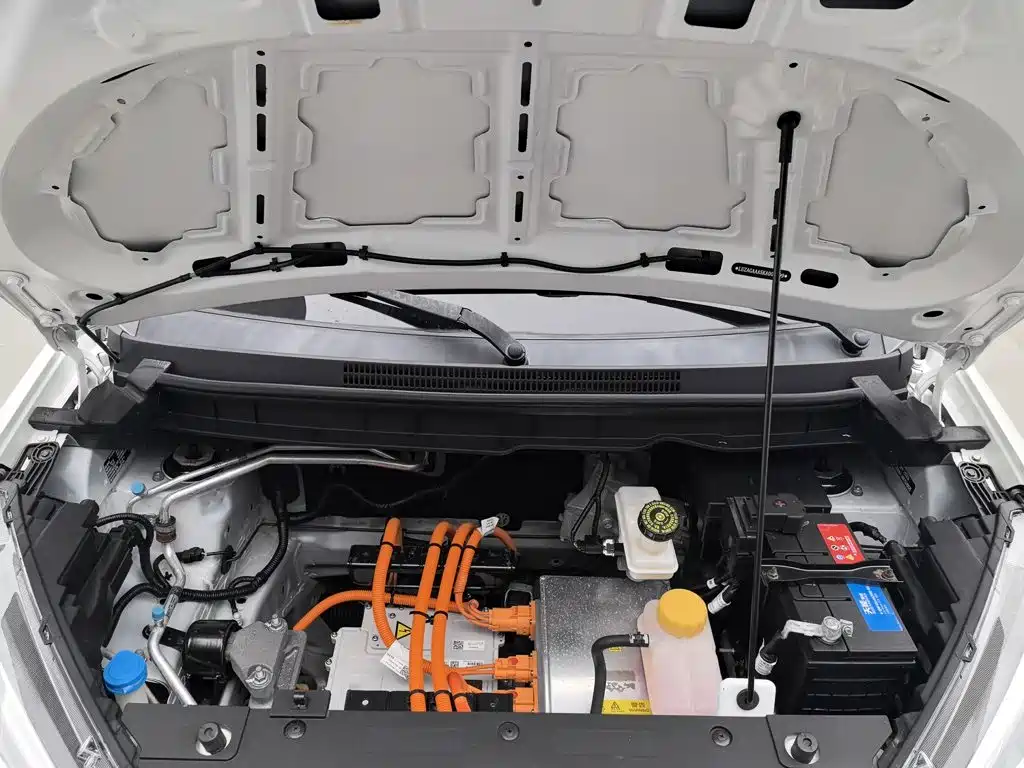 Nezha Auto Nezha N01 2019 2020 380i
