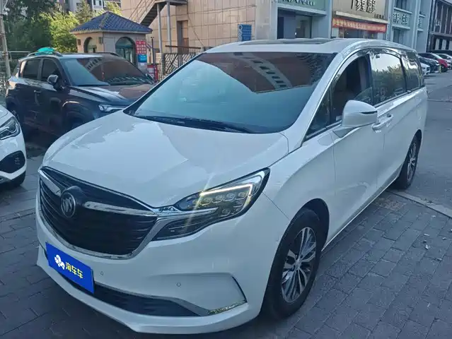 Buick GL8 ES Люкс, 653T, Престиж