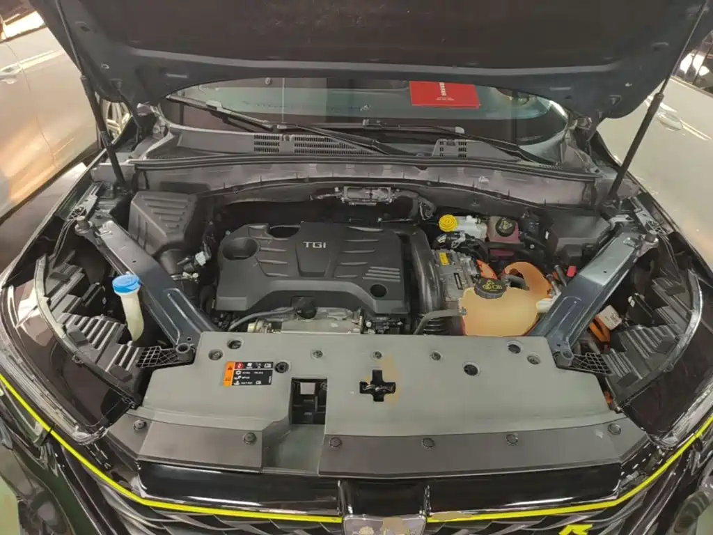 Photo 20 - Roewe RX5 eMAX