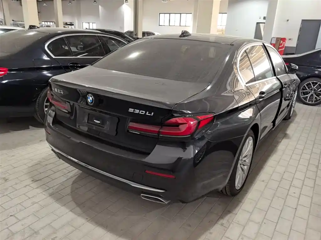 BMW 5 Series 2022 Facelift II 530Li Luxury Trim Premium Package фото 7