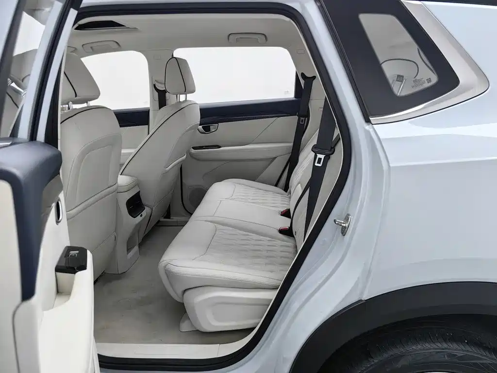 Wuling Motors Wuling Xingchen 2023 2022 2.0L DHT Electric Speed Edition