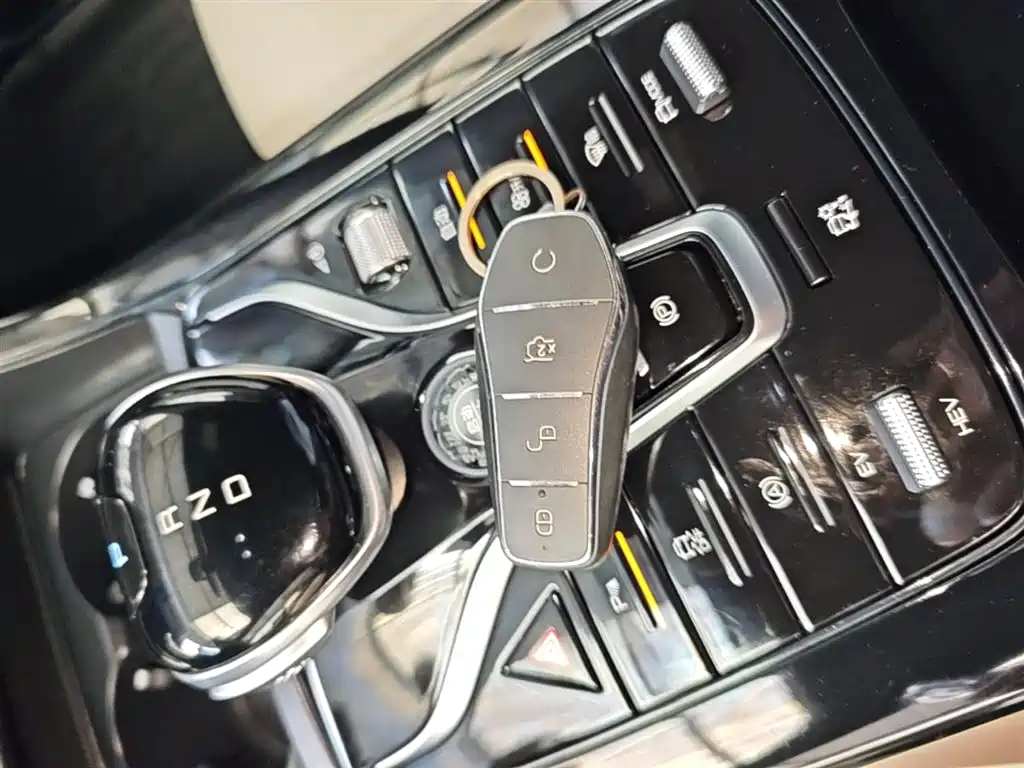 BYD Qin PLUS 2024 Glory Edition DM-i 55KM Leading фото 9