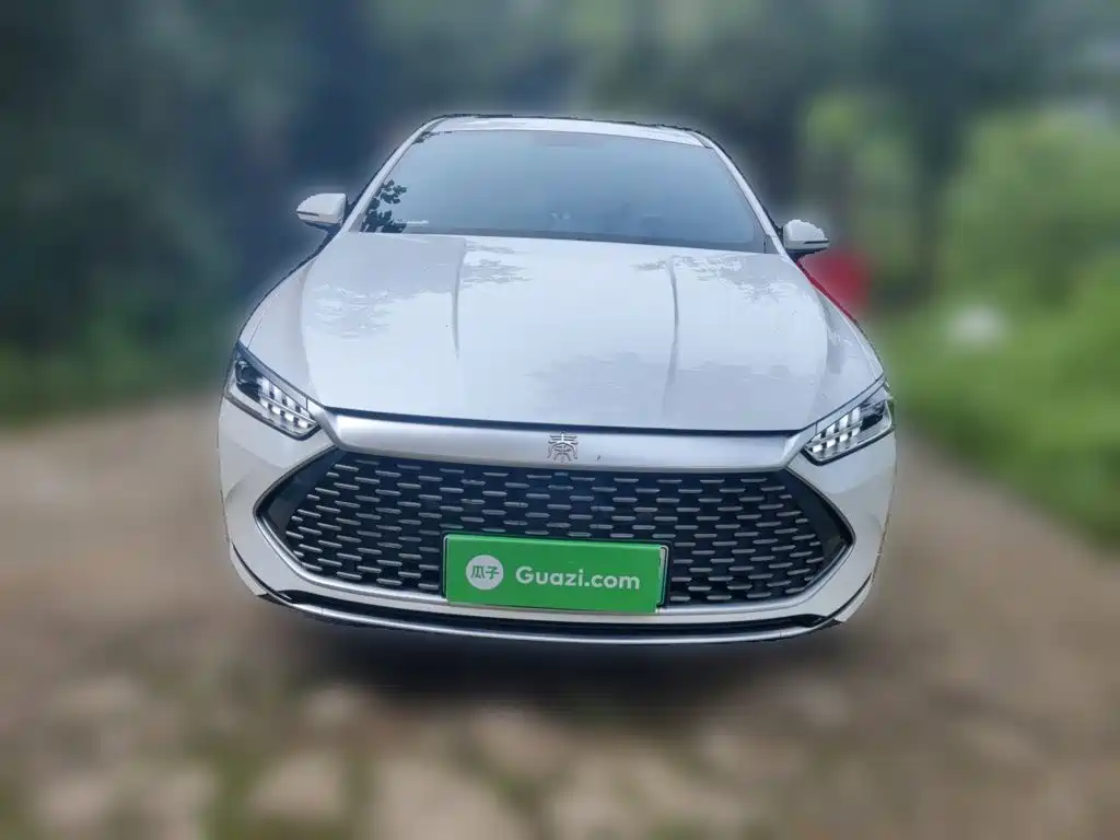 BYD Qin PLUS 2021 2021 DM-i 55KM Flagship