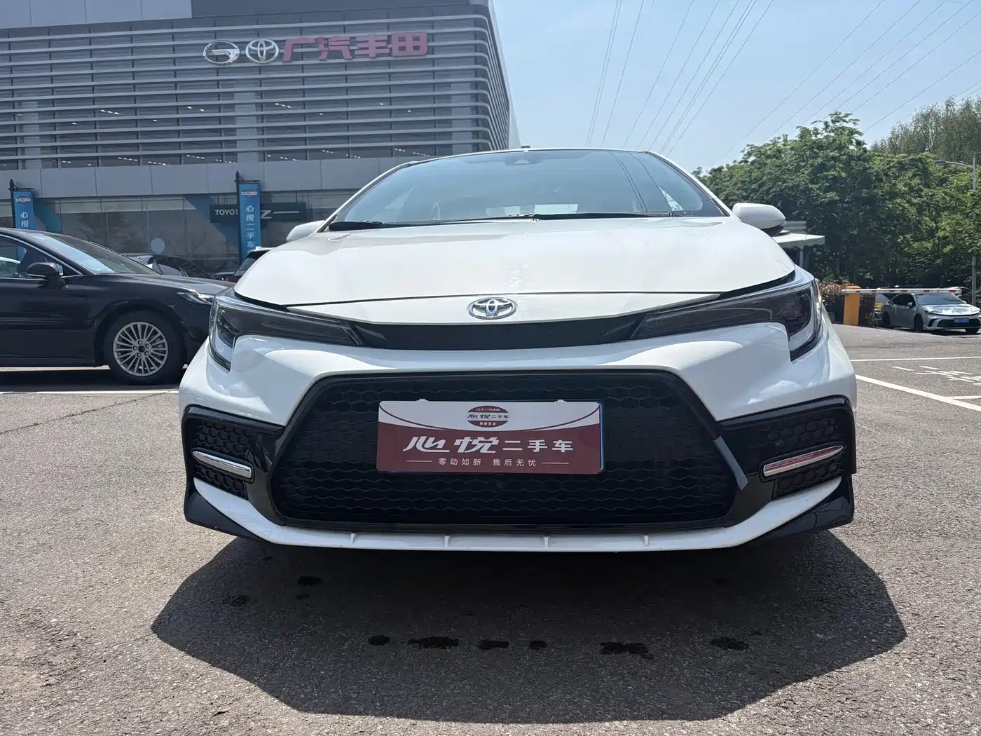 TOYOTA LEI LING