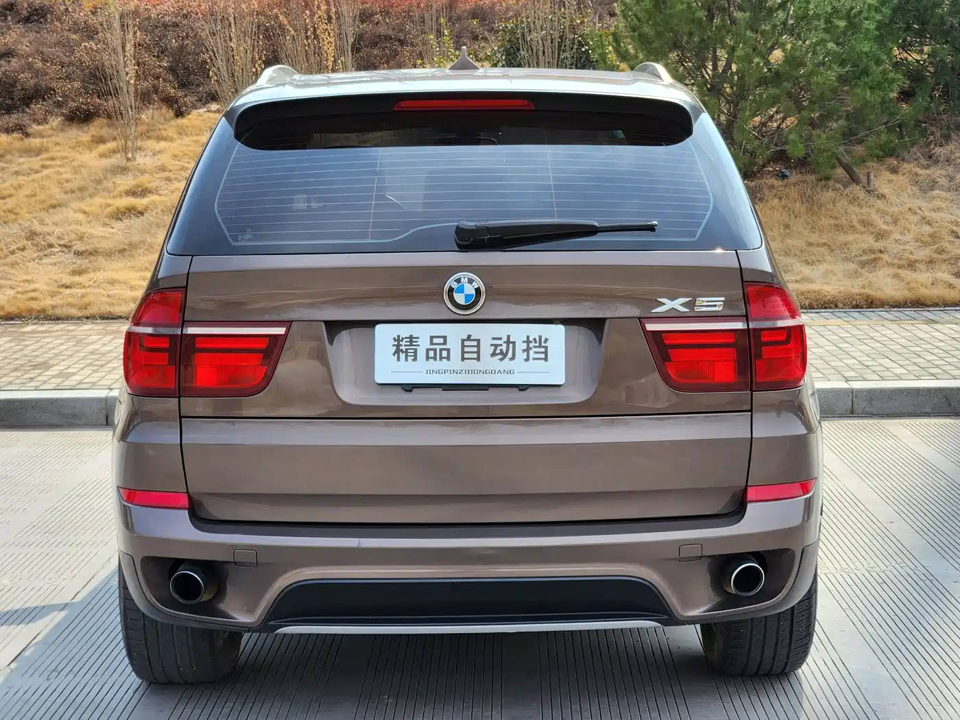 BMW X5 (Import) 2013 xDrive35i Leading фото 13