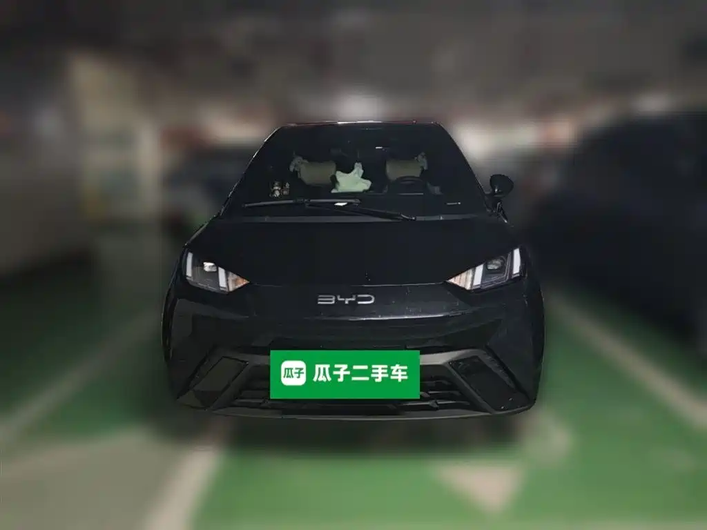 BYD Seagull 2024 Glory Edition 405km Soaring Edition фото 24